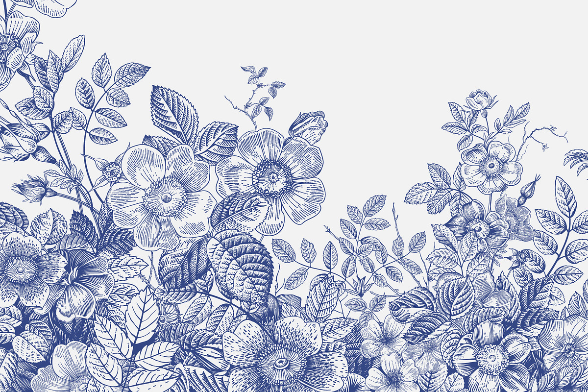 Wild Roses, a Decorative Illustration by olga.korneeva (Photo 17 of 24)