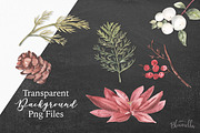 Poinsettia Festive Watercolor Floral, an Object Graphic by Bloomella (Thumbnail 3 of 4)