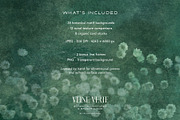 Veine Verte Botanical Backgrounds, a Background Graphic by alonahaidash (Thumbnail 10 of 20)