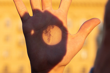 Hand illuminated by sunset