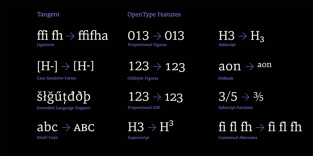 Tangent, a Slab Serif Font by Hoftype (Photo 14 of 14)