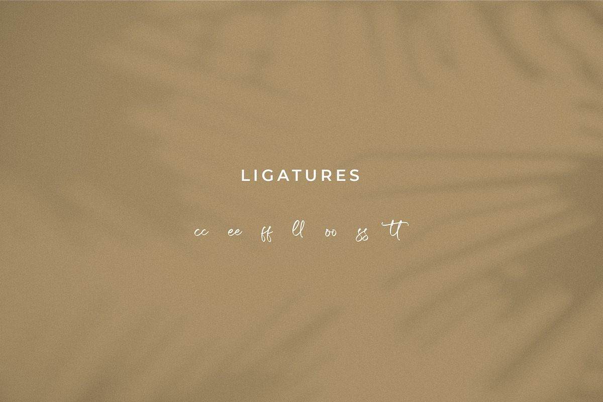 Shaquetta Torelly, a Handwritten Font by Integritype Studio (Photo 11 of 15)