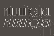 GENTO DREAM Modern Serif Font, a Serif Font by Storytype Studio (Thumbnail 12 of 15)