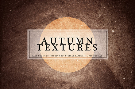 Autumn Textures: Mini Series