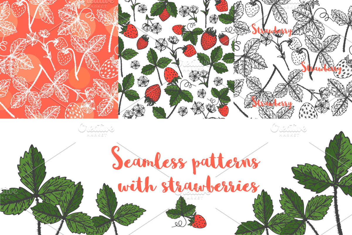 Vector garden strawberry, an Illustration by TashaDraw (Photo 4 of 7)