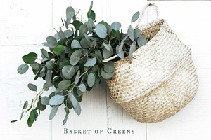 Greenery Basket Styled Stock 