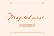 Dian Milena - Signature Script, a Script Font by Get Studio (Thumbnail 5 of 29)