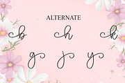 Hailey | Script Font, a Handwritten Font by Scratchones (Thumbnail 8 of 9)