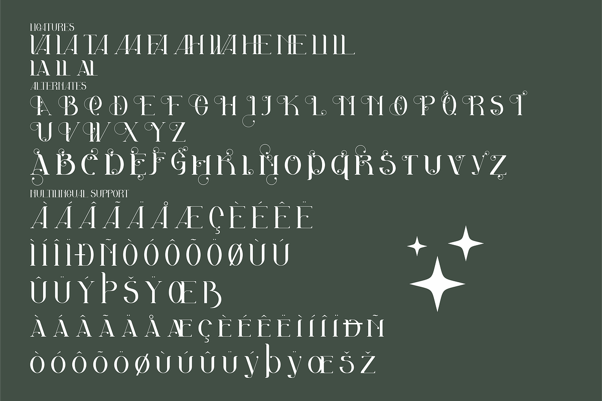 Akila Modern Display Font, a Serif Font by Storytype Studio (Photo 7 of 8)