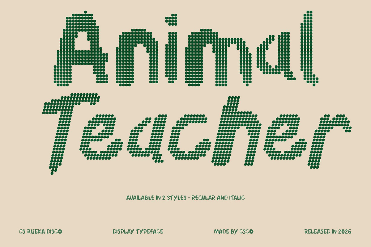 CS Rijeka Disco, a Handwritten Font by Craft Supply Co. (Photo 3 of 8)