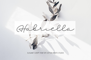 Habriella Monoline Signature Font