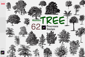 Procreate Realistic Tree Stamps