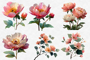 Watercolor Roses Peonies Clip Art, an Illustration by Designworld (Thumbnail 6 of 6)