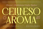 Celineso Aroma Elegant Serif, a Serif Font by timelesstype.co (Thumbnail 1 of 10)