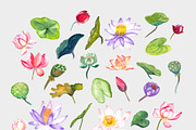 Lotus Flower, Water Lily Elements, an Illustration by Mia Digital (Thumbnail 4 of 5)