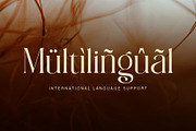 Bowtaris || ligature display serif, a Serif Font by ToniStudio (Thumbnail 7 of 9)
