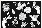 Regency flowers hand-drawn clipart, a Decorative Illustration by Depiano (Thumbnail 2 of 10)