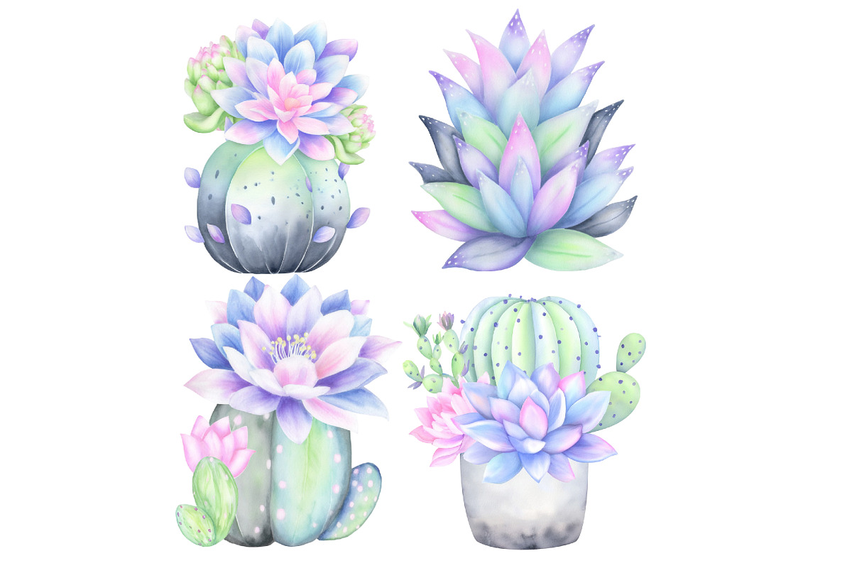 Watercolor Succulent Clipart, an Illustration by Designworld (Photo 4 of 4)