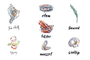 Watercolor shellfish set, an Animal Illustration by miminoshka (Thumbnail 4 of 7)
