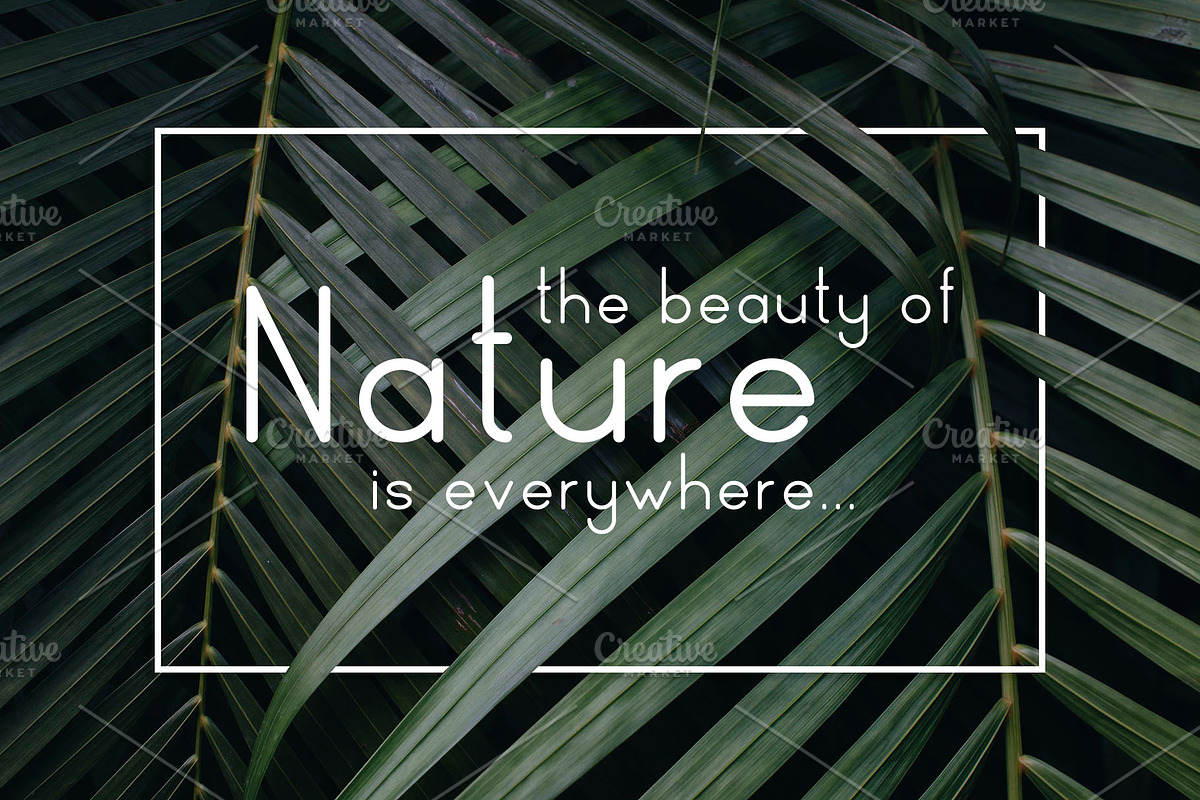 Naturaling Display Font preview 3