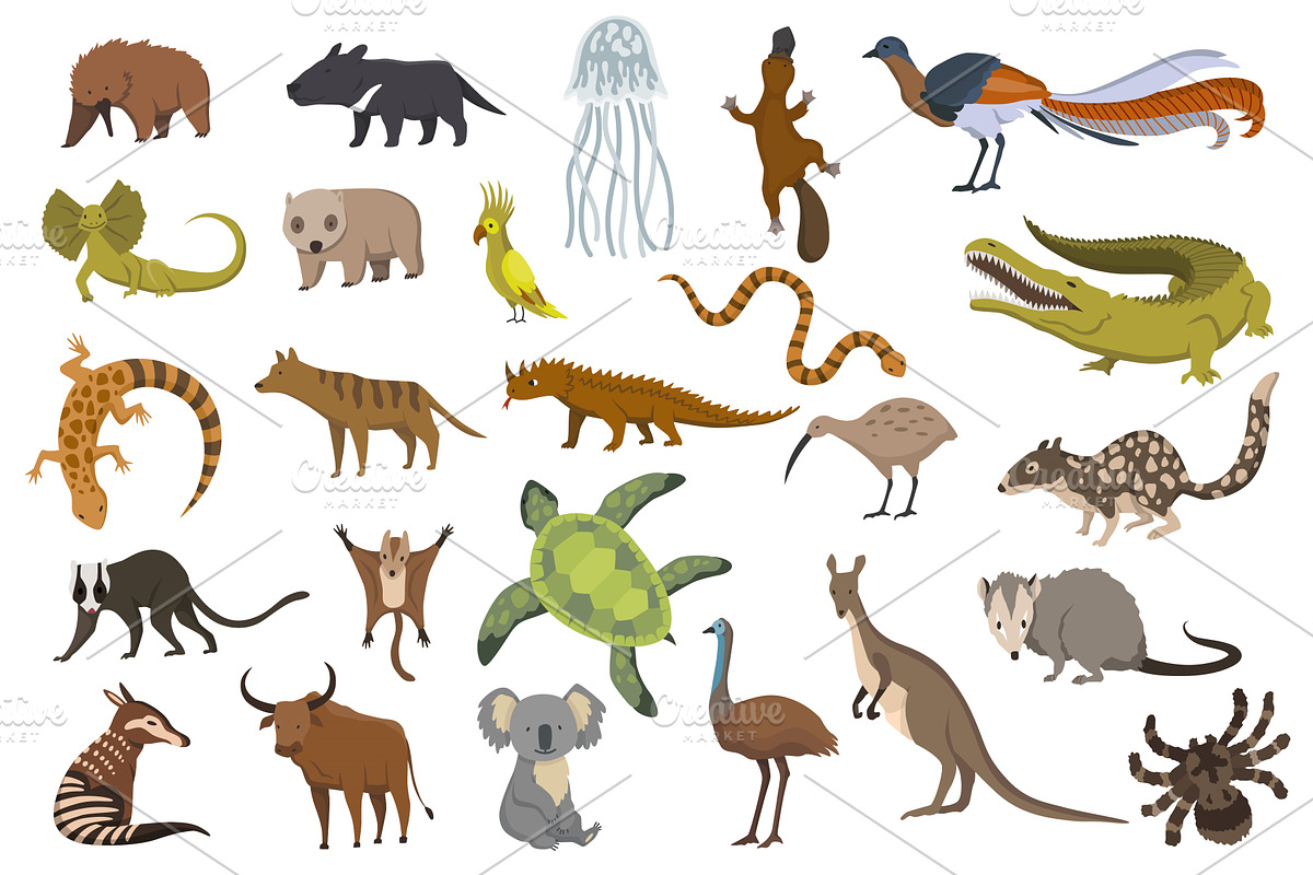 Animals of australia. Nature, an Animal Illustration by Things for designers