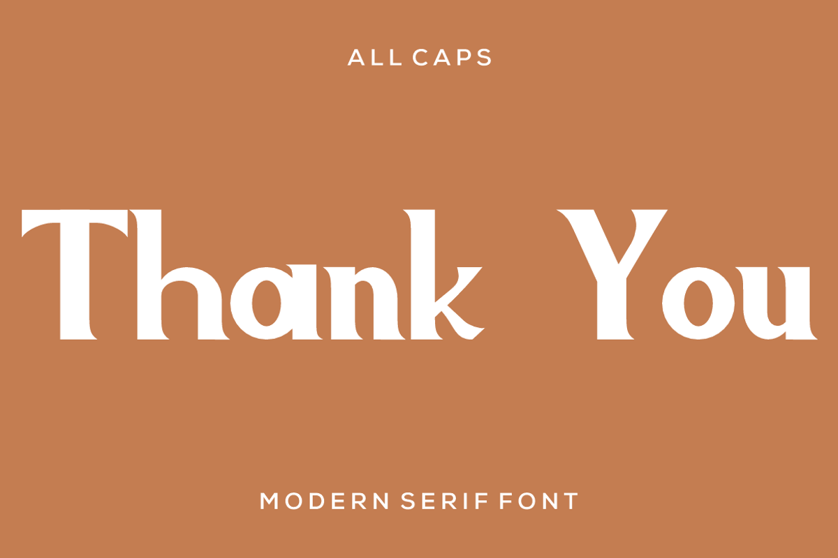 Bopak modern sans serif font, a Sans Serif Font by alanwarstd (Photo 4 of 5)