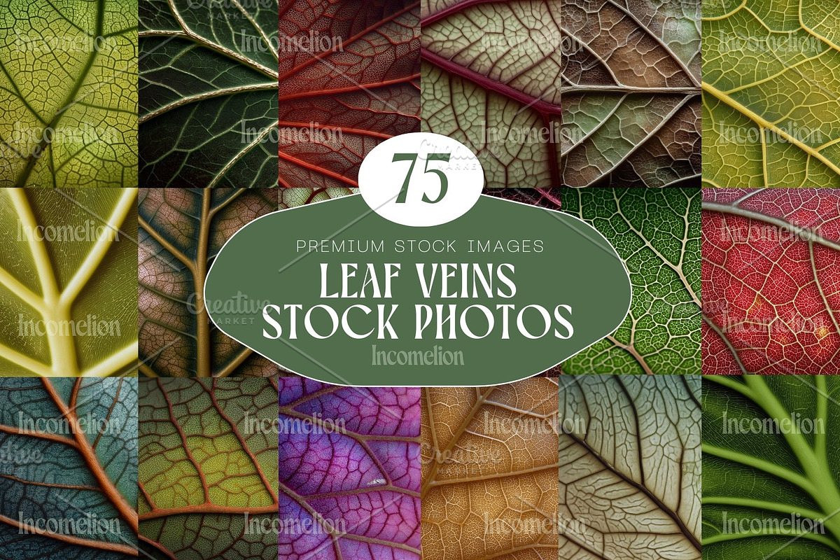 75 Leaf Veins Stock Photos, a Nature Photo by Incomelion (Photo 1 of 14)