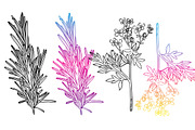 magic crystals, an Illustration by Vavavka (Thumbnail 5 of 11)