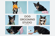 Dog Grooming Studio Photo Pack, an Animal Photo by Animalistica (Thumbnail 1 of 3)