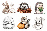 Woodland Cute Baby Animals Clipart, an Illustration by Dream Creation (Thumbnail 6 of 6)