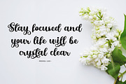 Barbiela Script, a Script Font by Bosstype Studio (Thumbnail 6 of 7)