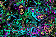 Acid psychedelic textures 50 Pack, a Texture Graphic by tkdesign (Thumbnail 50 of 50)