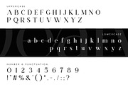 Dealva | Serif Font, a Serif Font by Ermedia Studio (Thumbnail 11 of 12)