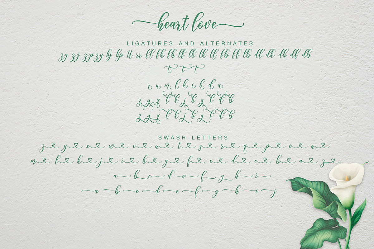 Heart love, a Script Font by Amarlettering (Photo 5 of 5)