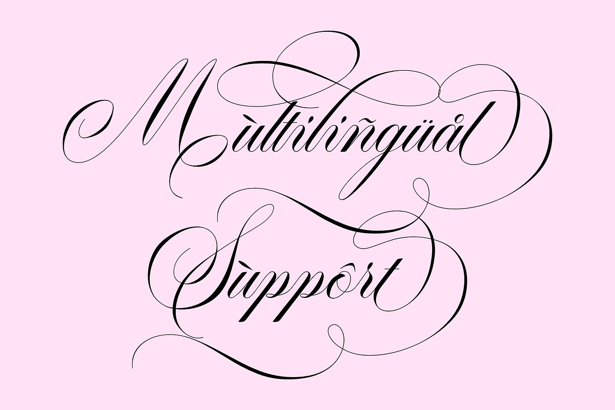 Garncoleia - Romantic Script Family, a Script Font by Sealoung (Photo 11 of 12)