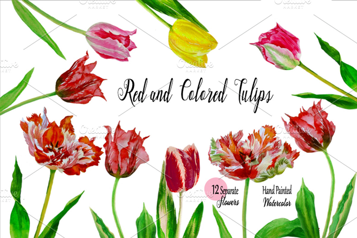 Red Tulips. Watercolor Clip Art, a Decorative Illustration by Nataliapiache (Photo 1 of 5)