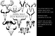 Animal skulls - vector illustrations, an Animal Illustration by Renée from Studio neetje (Thumbnail 2 of 3)