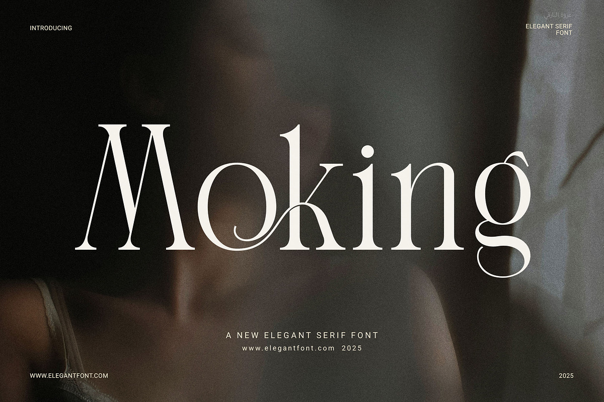 Moking Elegant Serif Font, a Serif Font by Elegant Font (Photo 1 of 8)