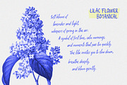 Oliver Whisper Messy Handwritten, a Handwritten Font by Letterhend Studio (Thumbnail 2 of 12)