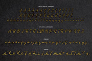 Azkasia Script, a Script Font by SemutHitam Creative (Thumbnail 10 of 12)