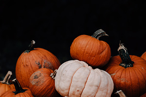 Fall pumpkins orange & black stock photo containing pumpkins and orange