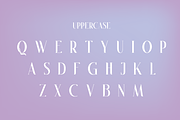 Yaarve Typeface, a Font by Newface (Thumbnail 6 of 7)