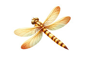 Yellow dragonfly  Summer Clipart, an Illustration by Designking (Thumbnail 3 of 4)