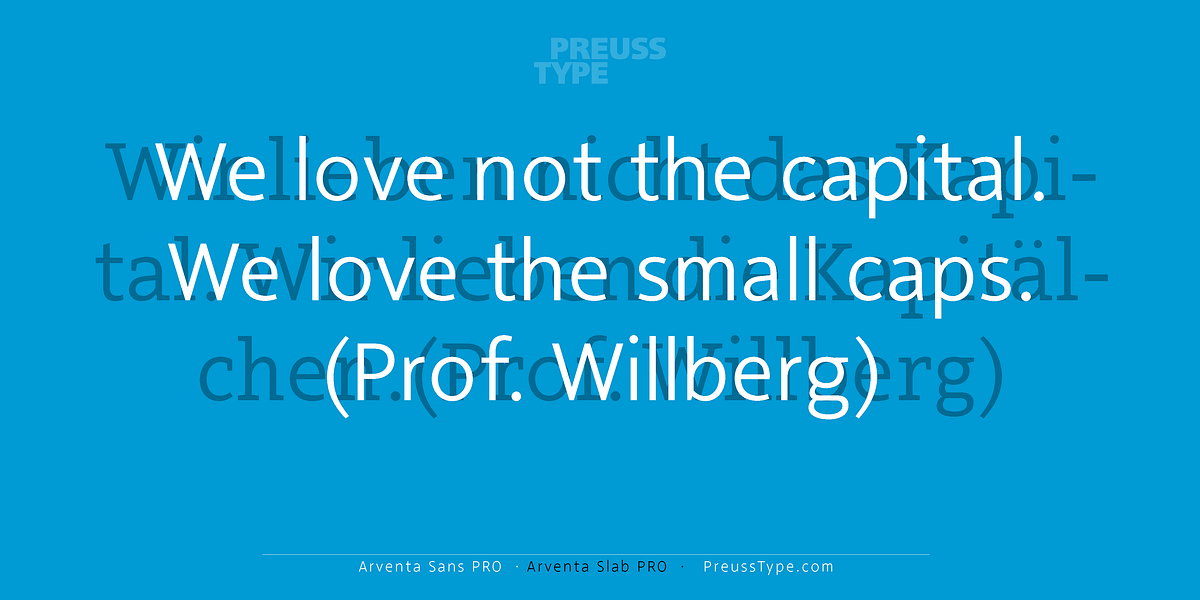 Arventa Sans PRO, a Sans Serif Font by preussTYPE (Photo 7 of 10)