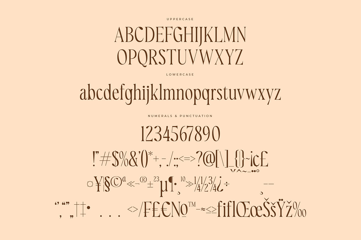 Royaltens Modern Serif Font, a Serif Font by Letterena Studios (Photo 13 of 15)