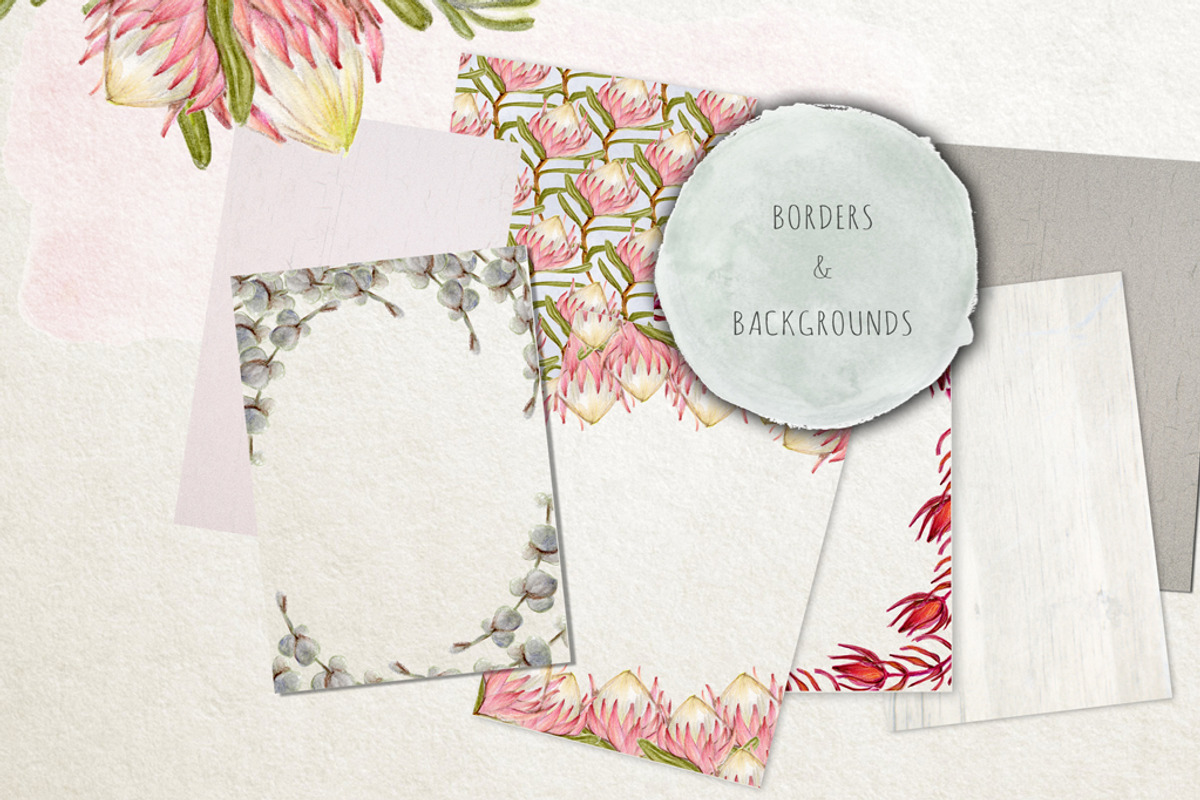 Watercolour Protea Flower DIY Pack, an Illustration by Ingrid Marais Design (Photo 3 of 4)