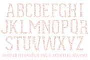 Soft Pink Floral Alphabet Vectors, an Illustration by Amanda Ilkov (Thumbnail 2 of 5)