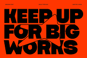 Megion - Bold Display Font, a Sans Serif Font by limitype (Thumbnail 2 of 10)
