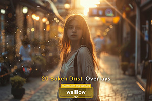 Bokeh Dust Transparent PNG Overlays