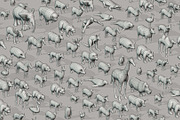 Animals 1, an Animal 3D Model by ithappy (Thumbnail 32 of 32)